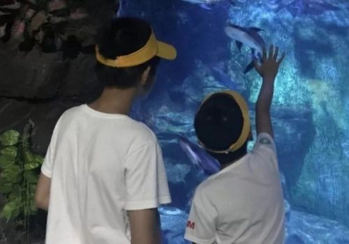 微信图片_2019101617082433